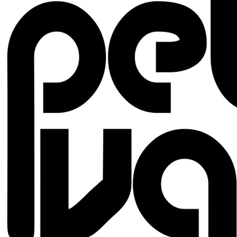 Logo Design (Vector, Illustrator) for Peter Vaughan, Denver, Colorado